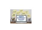 Unlocking the Potential of Outsourced SEO Services in India