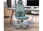 Buy Office Chairs Starting at Rs 4099 | Ergonomic and Stylish Options