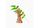 Organic Neem Twigs Natural Oral Care with Medicinal Benefits